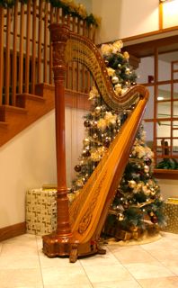 harpist Akron, Kent, Cleveland, Ashland, Hudson, Fairlawn, Ohio